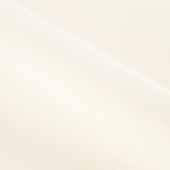 Локо 110
